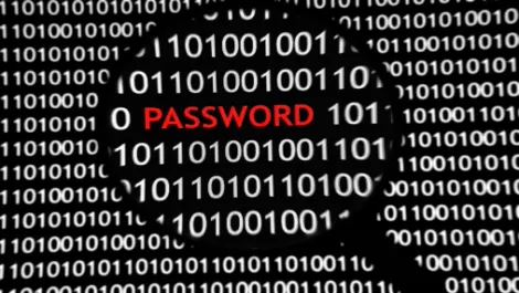 Fraudsters target Trade Me