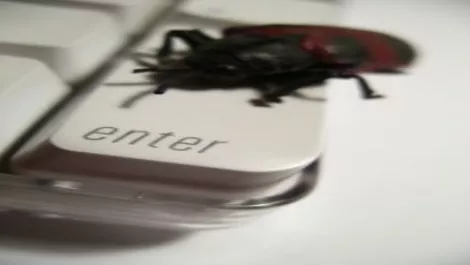 Botnets ruled in 2009