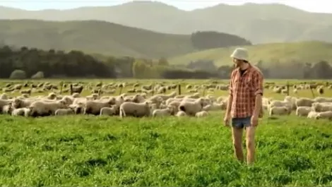 Key exporter chooses Microsoft business intelligence