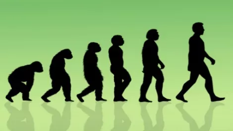 Evolution