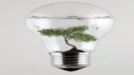 Idea