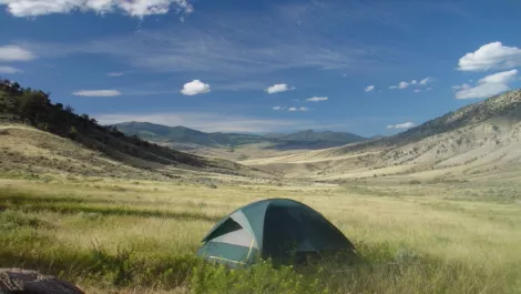 Tent