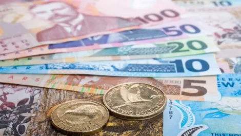 Novopay shows steady performance for latest pay periods