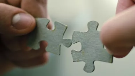 Puzzle pieces