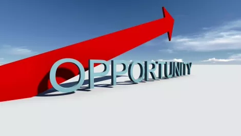 Opp