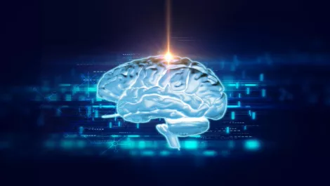 Thinkstockphotos 637291404