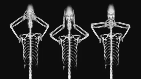 Asian SMEs lagging behind in data breach disclosure policies