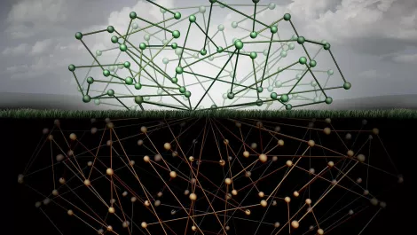 Monash University researchers scour dark web to understand cybercrime
