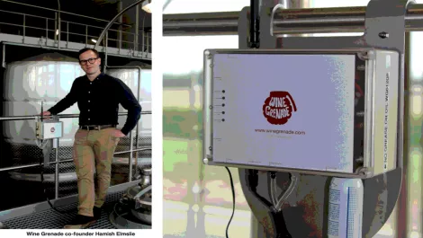 Wine grenade hamish elmslie orig