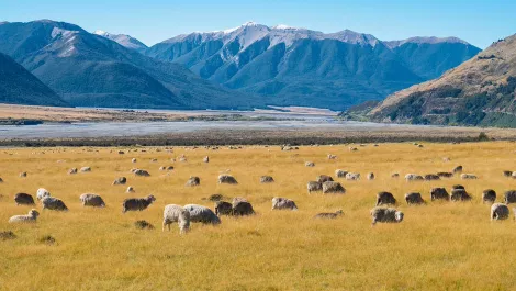 Thinkstockphotos 885444404