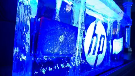 Hp1