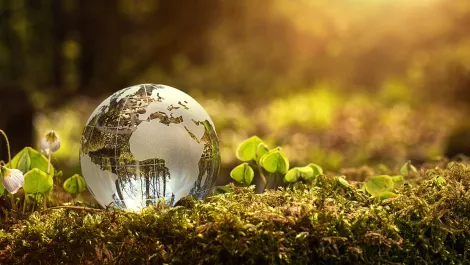 Enterprise sustainability practices not up to par, study finds