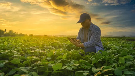 Kacific and Farmer Charlie to tackle agriculture and sustainability in new deal
